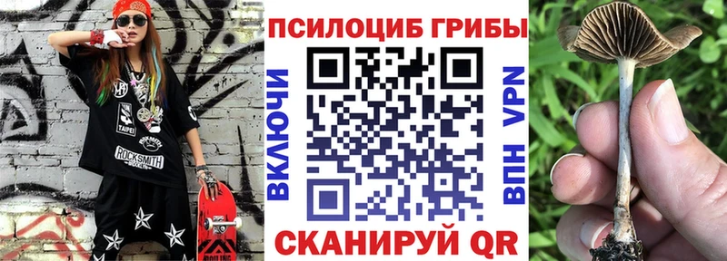 где продают   Ясный  Галлюциногенные грибы ЛСД 