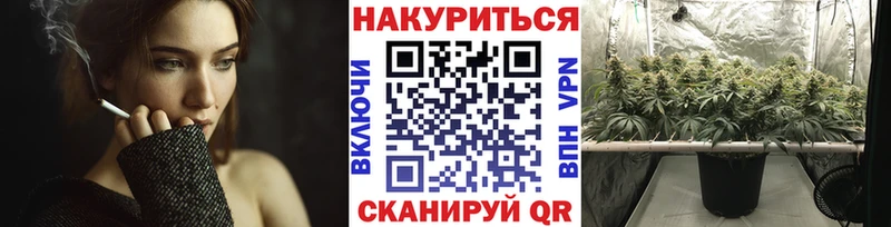 блэк спрут tor  сайты даркнета наркотические препараты  Ясный  Конопля сатива  где найти наркотики 